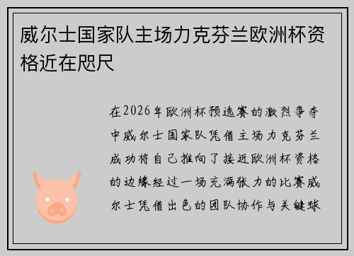 威尔士国家队主场力克芬兰欧洲杯资格近在咫尺
